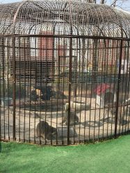 -萌宠亲子动物乐园(槐房万达店)