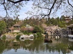 -花洲书院