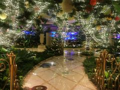 -拉斯维加斯永利酒店