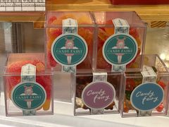 -丽都DELICATESSEN熟食店