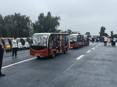 -荷兰花海