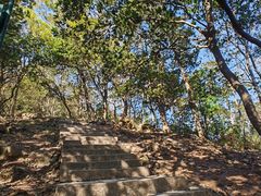 -梧桐山风景名胜区