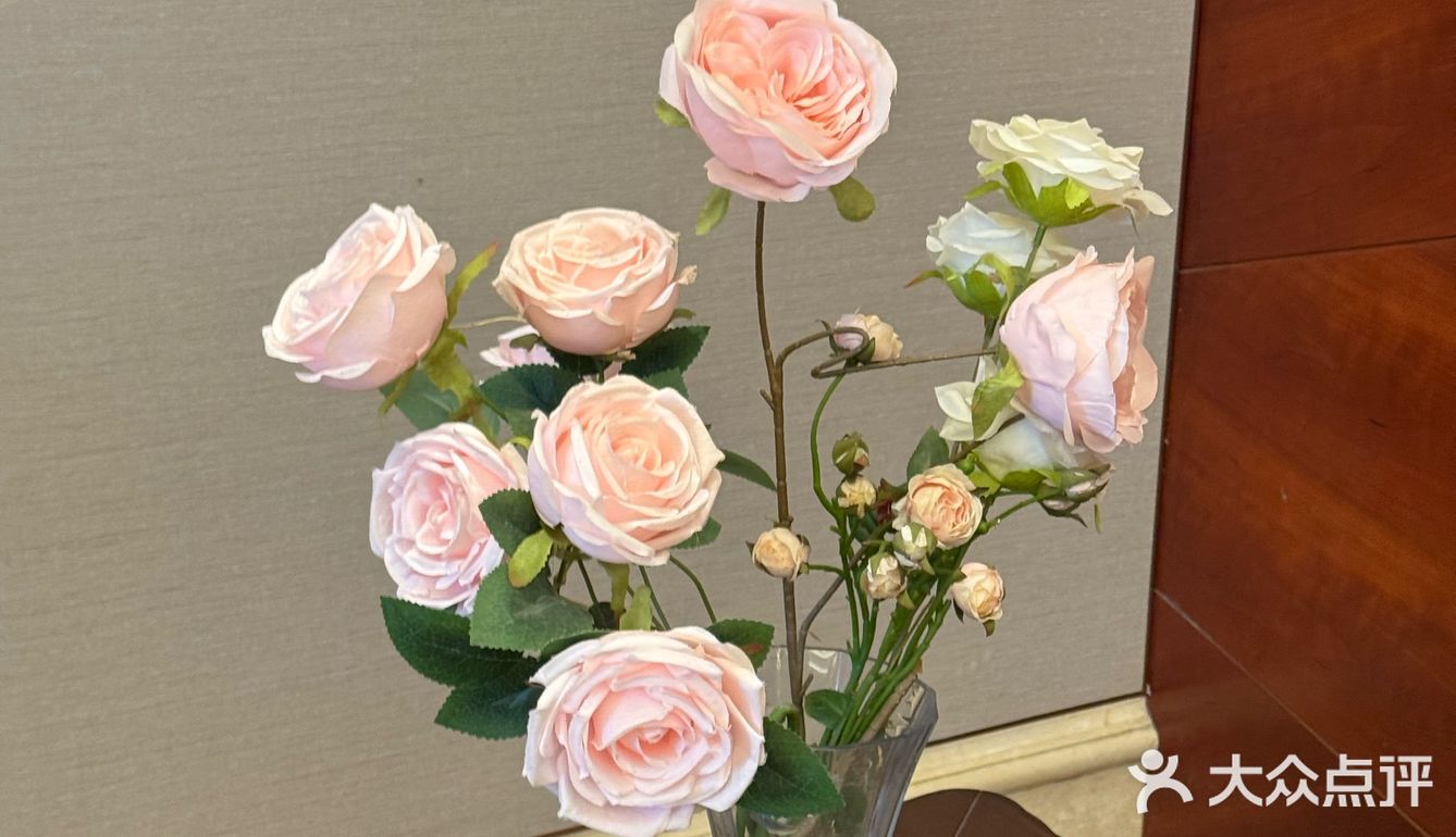 有宴请需求的真的yyds