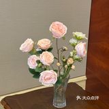 有宴请需求的真的yyds