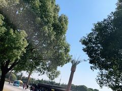 -上海月湖雕塑公园