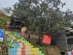 -桃源山庄·水蜜桃采摘·柴火鸡·烧烤团建(龙泉山店)