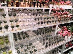 -KKV(深圳宏发大仟里店)