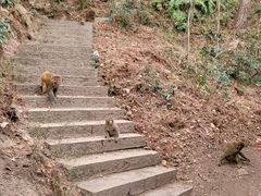 -黔灵山公园