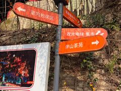 -巴倒烫陆派火锅山庄(南山总店)