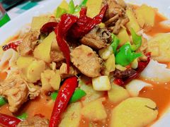 -新疆巴州金丝特餐厅(大钟寺店)