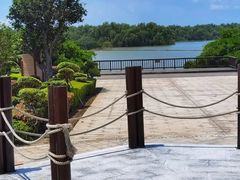 -大湾区中央湿地公园
