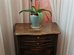 -大可堂普洱茶馆(襄阳南路馆)