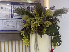 -泰康拜博口腔(世博园乐尔店)