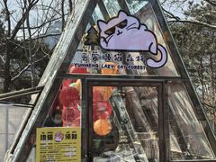 -沂蒙山旅游区云蒙景区(蒙山国家森林公园)