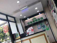 -安安宠医宠物医院·异宠·犬猫内科(岳阳分院)