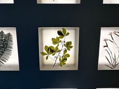 -予厘·推拿按摩·精油SPA(憩舍长安店)