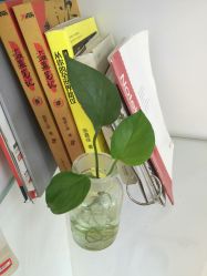 -成都苗方清颜专业祛痘
