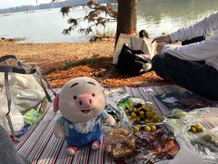 -上海海湾国家森林公园