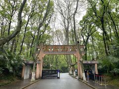 -灵谷景区