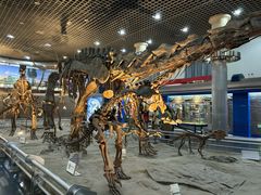 -国家自然博物馆