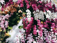 -北京植物园-展览温室