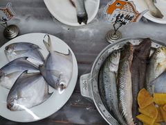 -渔民船说·北塘海鲜·天津菜·海肠捞饭(北塘古镇店)