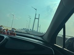 -大湾区中央湿地公园