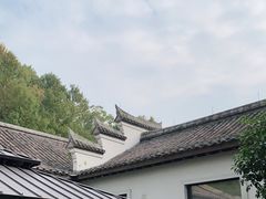 -宁波柏悦酒店·钱湖渔港