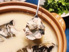 浓汤千岛湖雄鱼头-湘轩·土菜研究院(光大店)