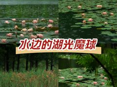 -白鹭湾湿地公园