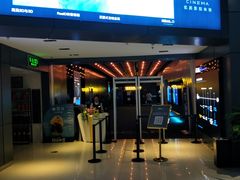 -奥斯卡升龙国际影城(RealD Cinema)
