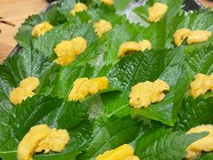 -初花·日本料理