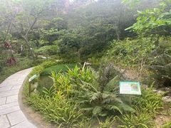 -石排湾郊野公园