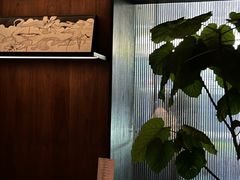 -MEDISN·药厂