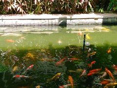 android_upload_pic-三亚亚龙湾五号度假别墅酒店