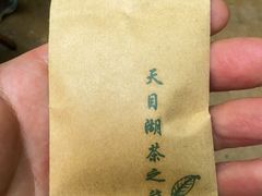 -天目湖山水园