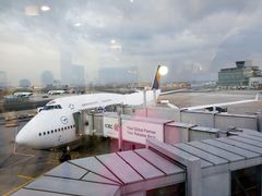 -德国汉莎航空公司