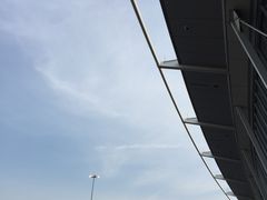 -约翰·菲茨杰拉德·肯尼迪国际机场