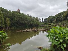 -深圳仙湖植物园