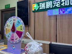 -瑞鹏宠物医院·夜间急症·心超·猫科(祖庙分店)