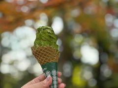 -豆政(金閣寺境内売店)
