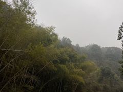 -马口生态公园