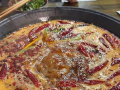-黄潇洒老火锅(九眼桥宏济巷店)