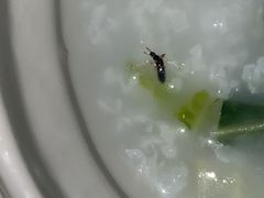-粤珍轩.创始店.始于2001(含光门店)