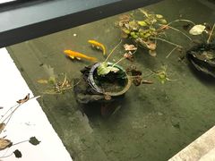 -咸亨酒店•非遗绍兴菜•中华老字号(堂吃餐厅)
