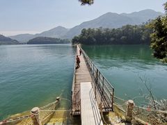 -广州市流溪河国家森林公园