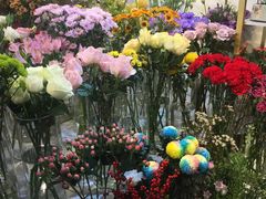 -花未央花店·WEYOUNG