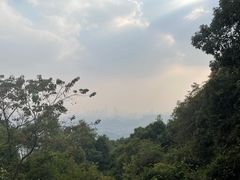-火炉山森林公园