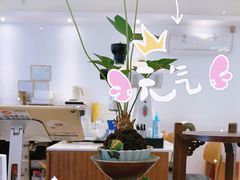 -稀物集咖啡(徽州大道店)