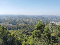 -神光山国家森林公园